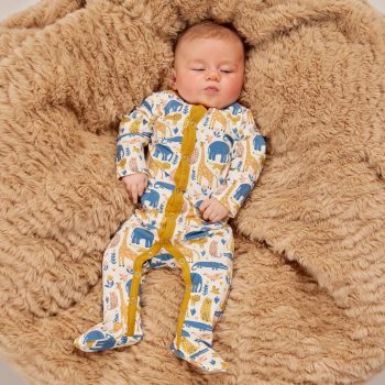 Little Rock Sleeper - Image 7