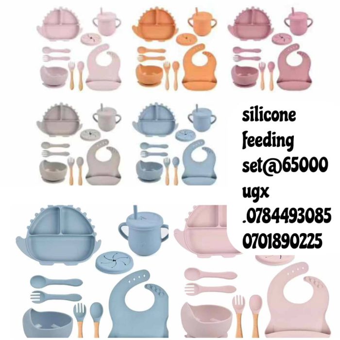 Slicone Feeding Set